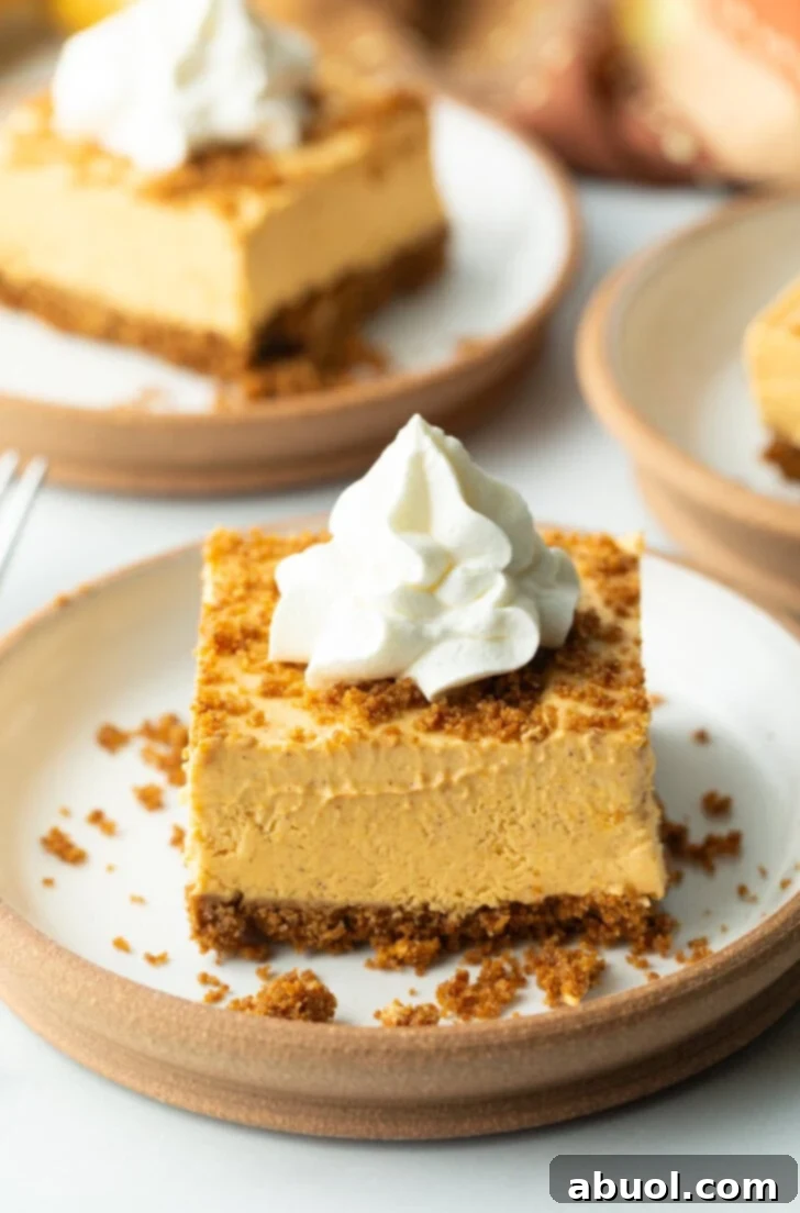 A square slice of no-bake pumpkin cheesecake bar on a white plate, beautifully topped with a swirl of whipped cream.