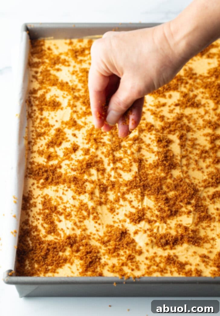 A hand sprinkling crumbled gingersnap cookies as a garnish on top of the finished cheesecake bars.