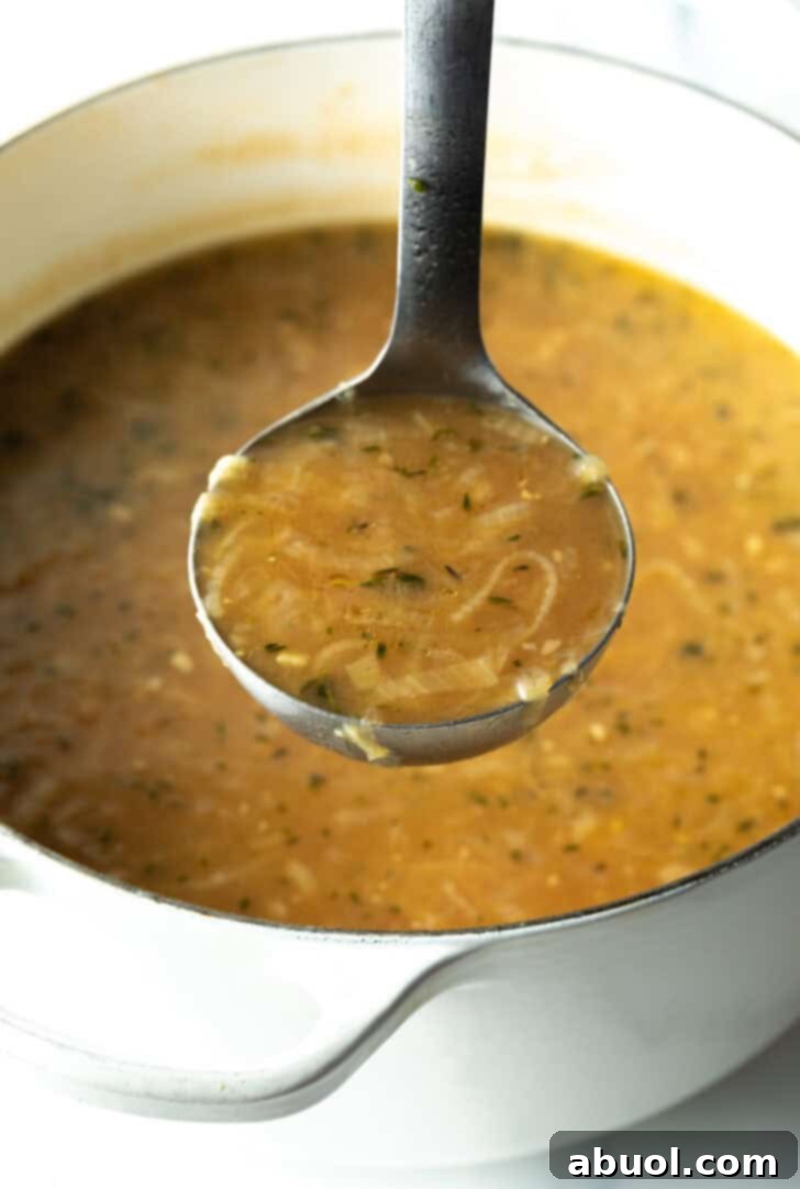 A metal ladle lifting a spoonful of rich, aromatic French onion soup, showcasing its deep color and tender onion strands.