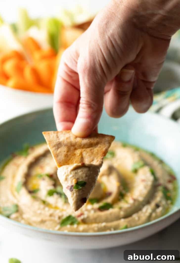 Hand showing a pita chip with eggplant dip to camera.