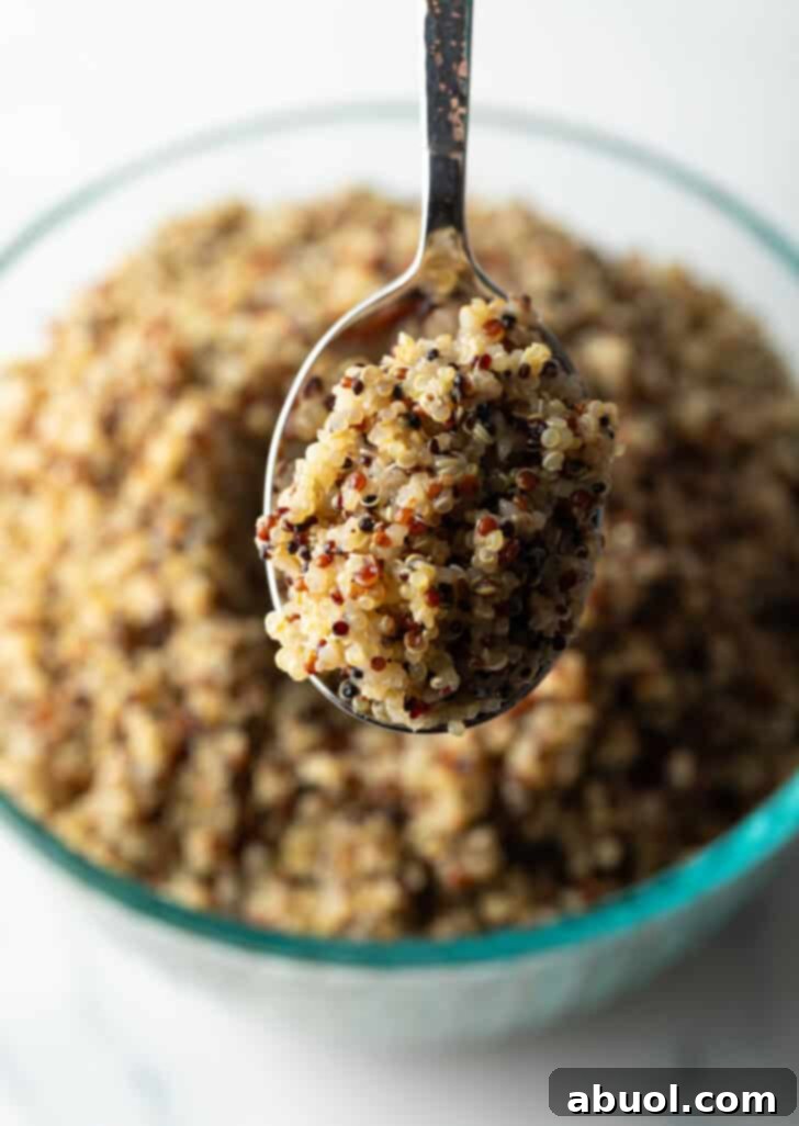 Spoon showing scoop of cooked quinoa to the camera.