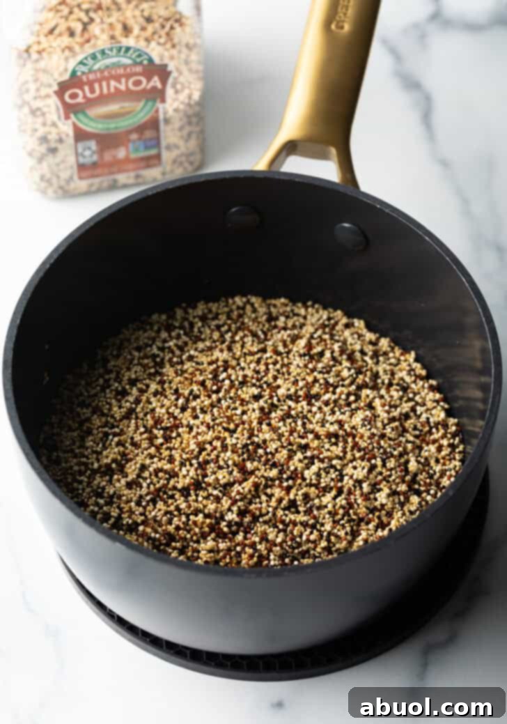 Dry grains in a large black saute pot.