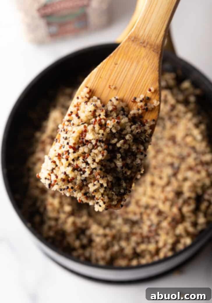 Wood spatula showing scoop of cooked quinoa to the camera.