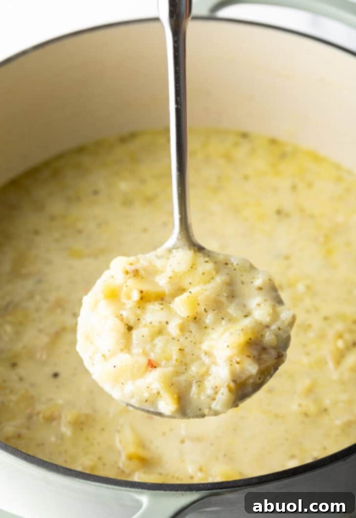 Metal ladle of soup showing to the camera.