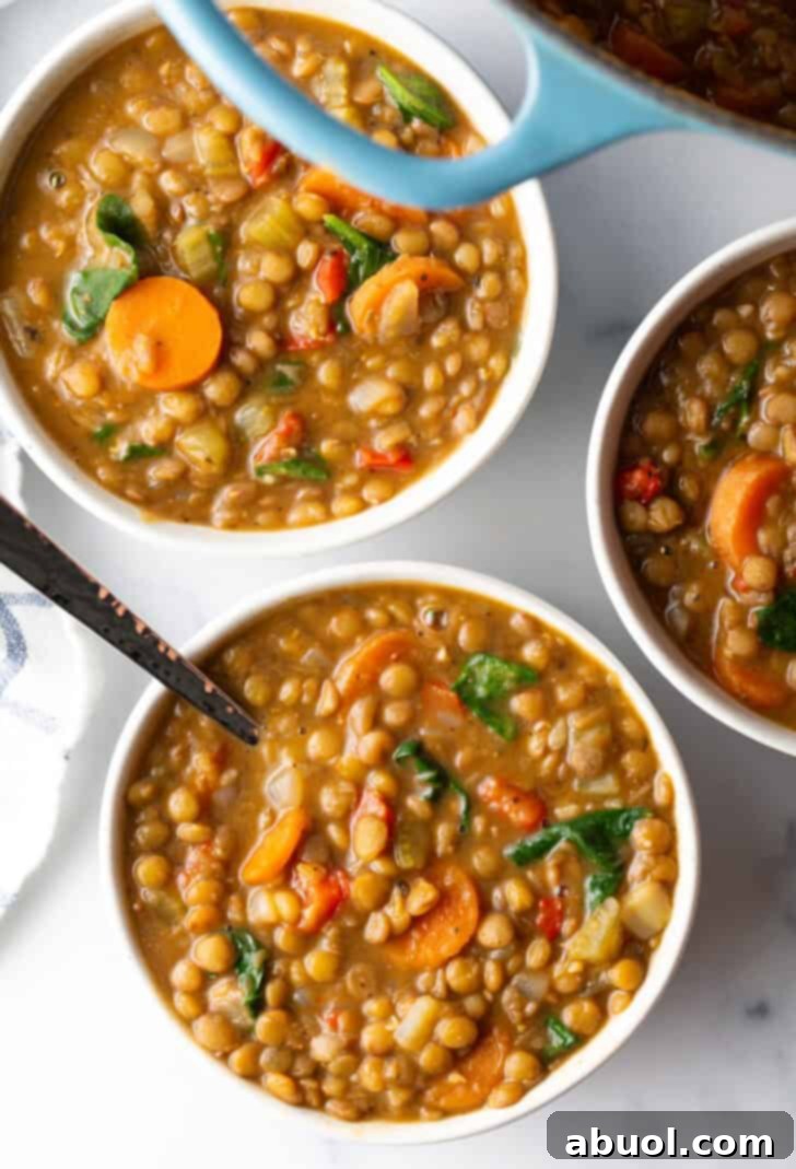 Three white bowls of traditional lentil soup with carrots and kale, beautifully garnished, presented as a comforting and wholesome meal.