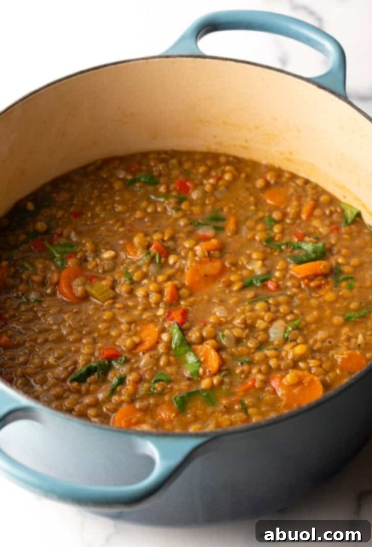 A large pot of soup simmering gently on the stovetop, filled with tender green lentils and a colorful array of vegetables, creating a rich and aromatic broth.