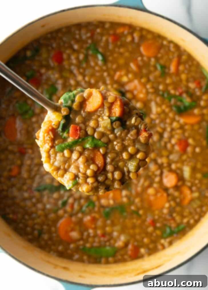 A ladleful of vibrant lentil, carrot, and spinach vegetable soup held up close to the camera, showing its rich texture and wholesome ingredients.