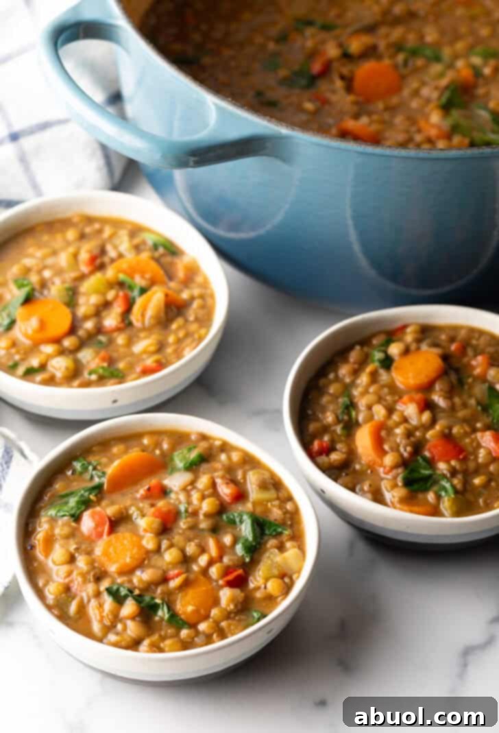 Three white bowls of traditional lentil soup with carrots and kale, garnished with fresh herbs, elegantly arranged on a rustic table.