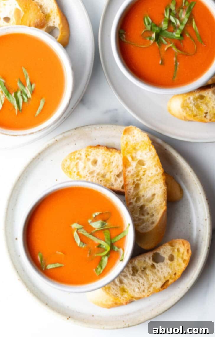 A top-down view of a generously filled bowl of creamy tomato soup resting on a pristine white plate, elegantly encircled by three golden slices of baguette, ready for dipping.
