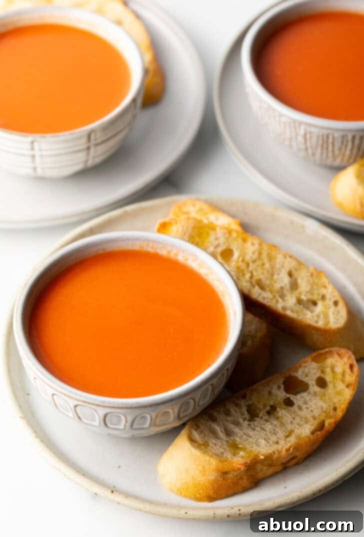 A beautifully presented bowl of creamy tomato soup sits on a white plate, flanked by three slices of golden baguette, creating an inviting and comforting meal scene.