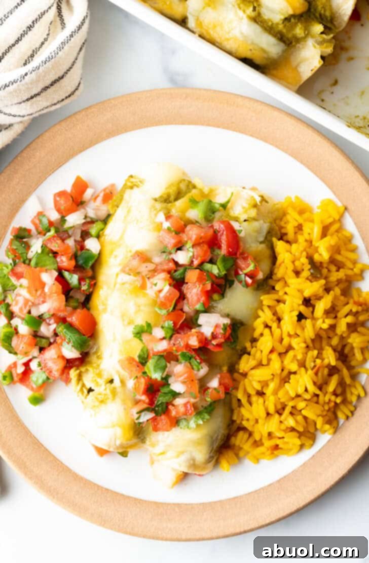 Top down view of two enchiladas next to a serving of yellow rice. A scoop of pico de gallo is on the other side of the enchiladas, and a scoop is also on top of the enchiladas, adding freshness.