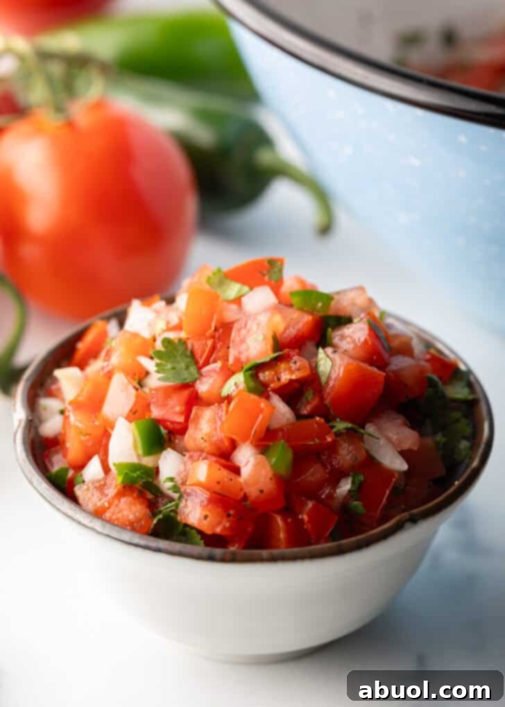 A white bowl of fresh chopped tomatoes, onion, jalapeno, and cilantro. The bowl is surrounded by tortilla chips, inviting a taste.