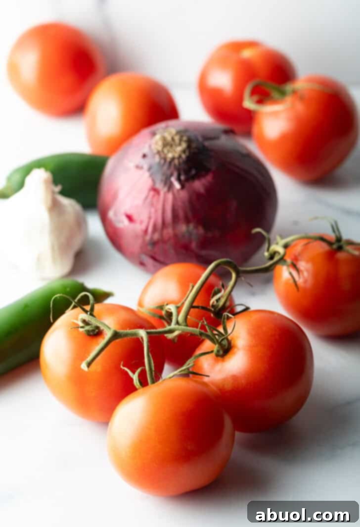 Recipe ingredients on a white background: Four on the vine tomatoes, whole red onion, whole head of garlic, and two whole jalapenos.