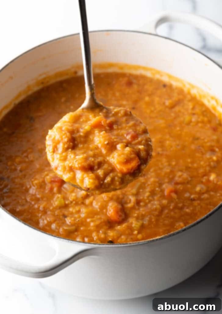 A close-up shot of a large cooking pot filled with delicious lentil and carrot soup. A ladle holds a generous serving of the rich, thick soup, showing off the tender lentils and colorful carrots, ready to be dished out.