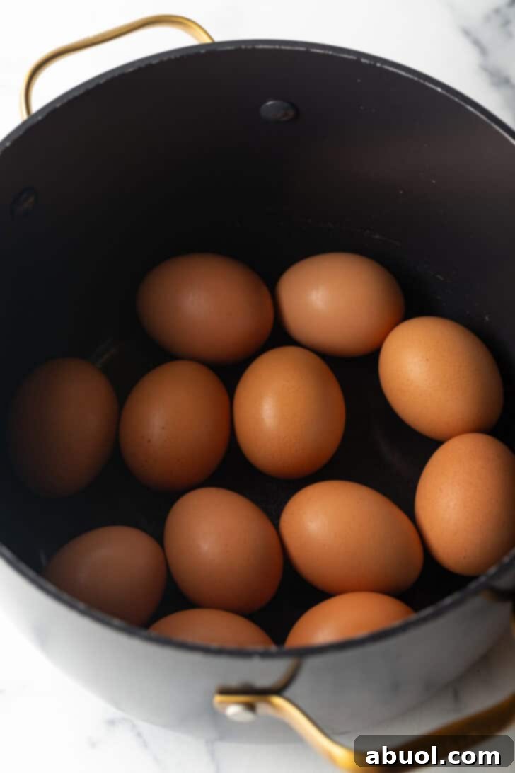 A dozen brown eggs neatly arranged at the bottom of a large, black cooking pot, ready for water.