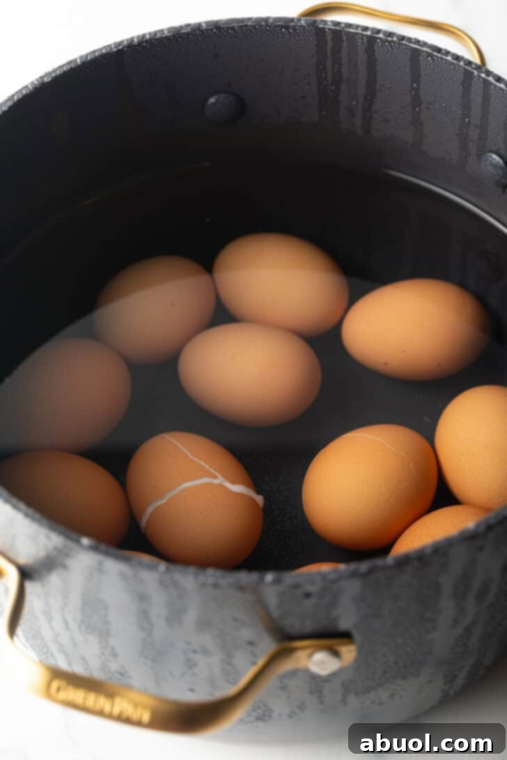 A view of a dozen brown eggs completely covered in water within a large black cooking pot, prepared for boiling.