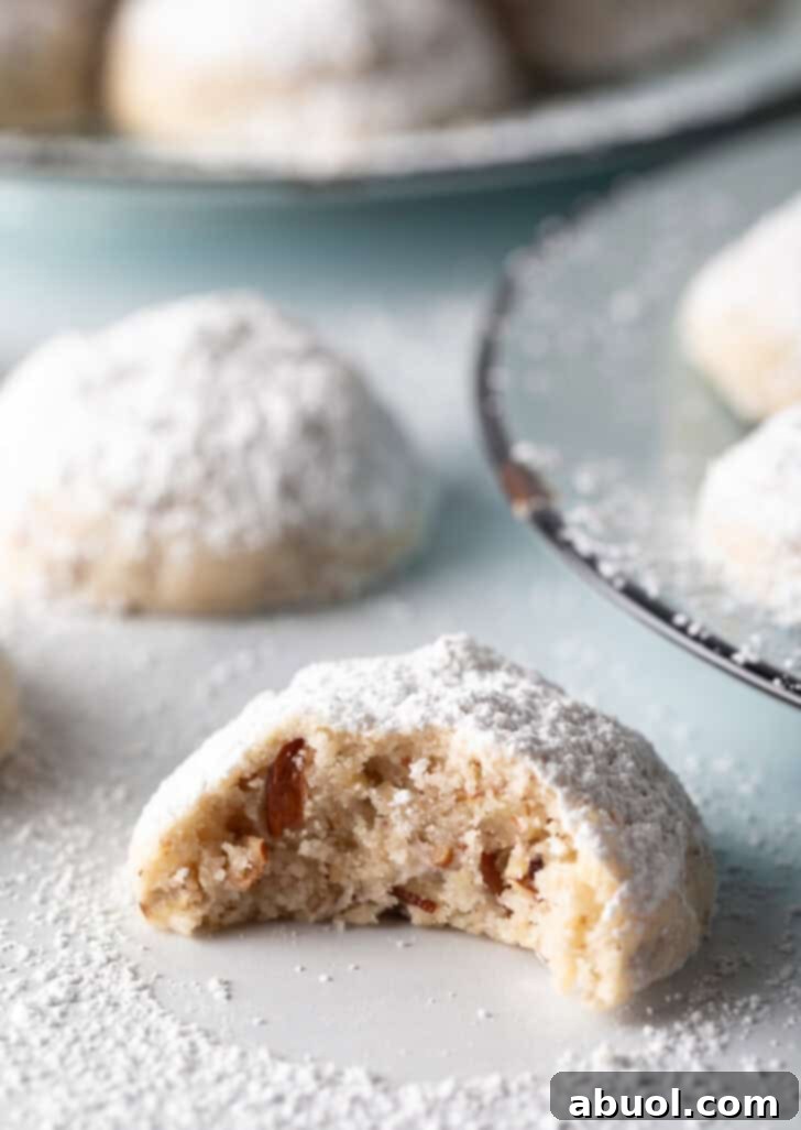 Close view of a Russian tea cookie with a large bite taken out.