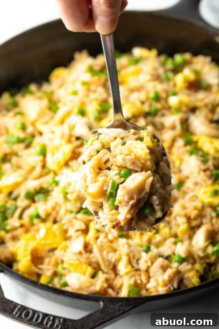 Fragrant Thai Crab Fried Rice 12 Spoon holding a spoonful of crab fried rice to camera.