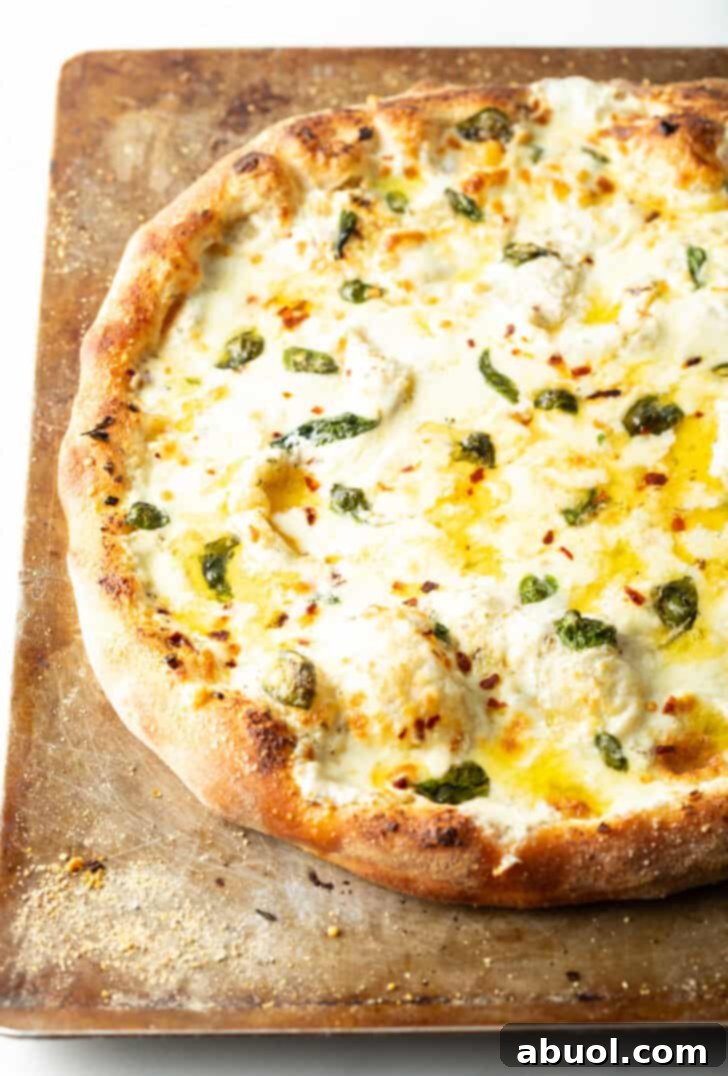 Baked whole white pizza on a baking sheet.