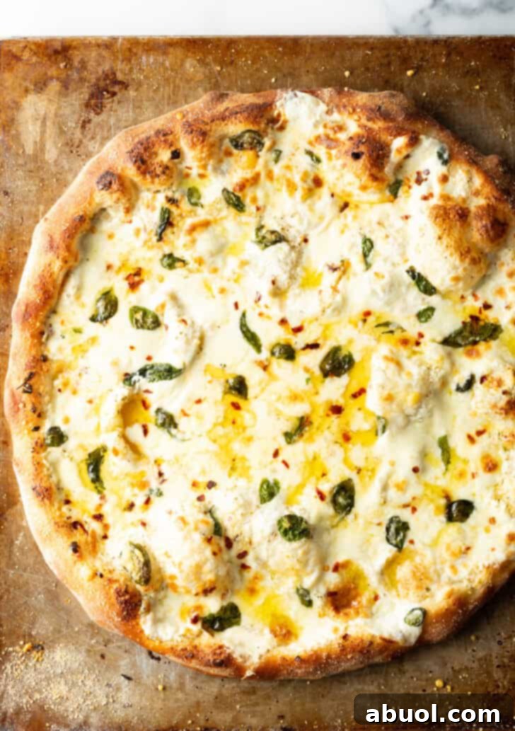 Top down view baked whole white pizza on a baking sheet.