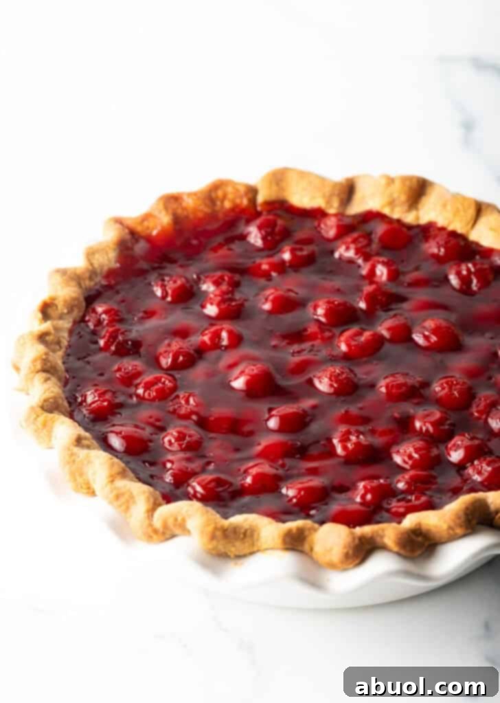 A beautifully baked cherry pie with no top crust, showcasing the golden, flaky bottom crust and vibrant, juicy cherry filling.
