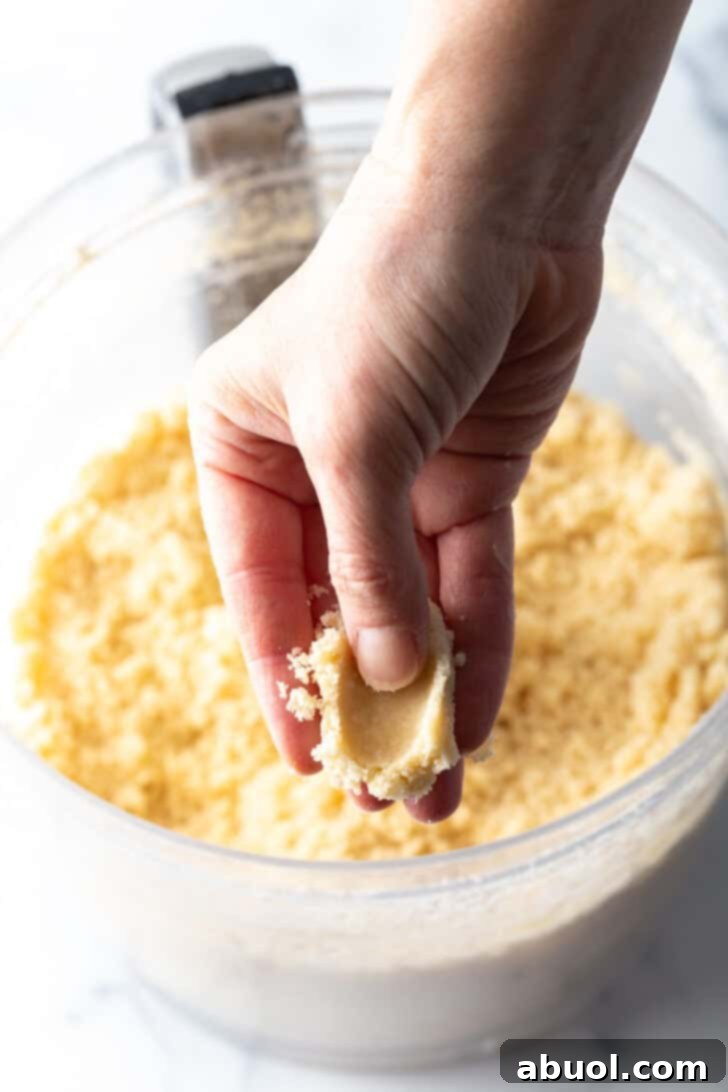 A hand gently manipulating the pie dough, demonstrating its readiness to form into a cohesive ball or disc after mixing.