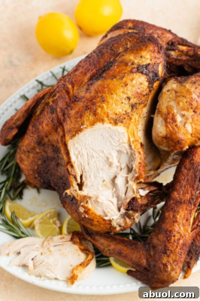 A slice of perfectly cooked deep-fried turkey breast, showing off its moist, tender interior and golden, crispy skin.