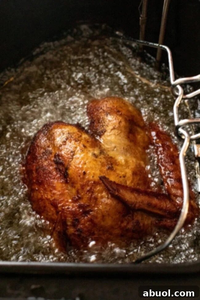 A turkey slowly being lowered into a hot oil deep fryer, illustrating the careful and safe process.