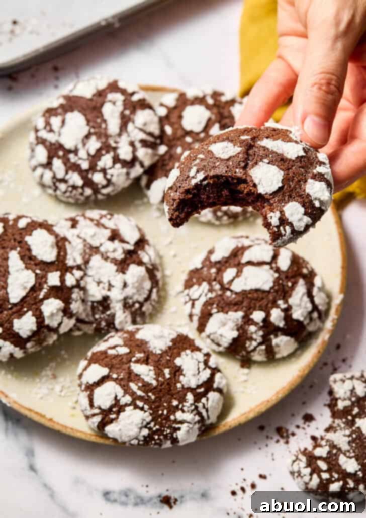 Chocolate Crinkle Cookies Recipe - one cookie lifted by hand with bite taken out