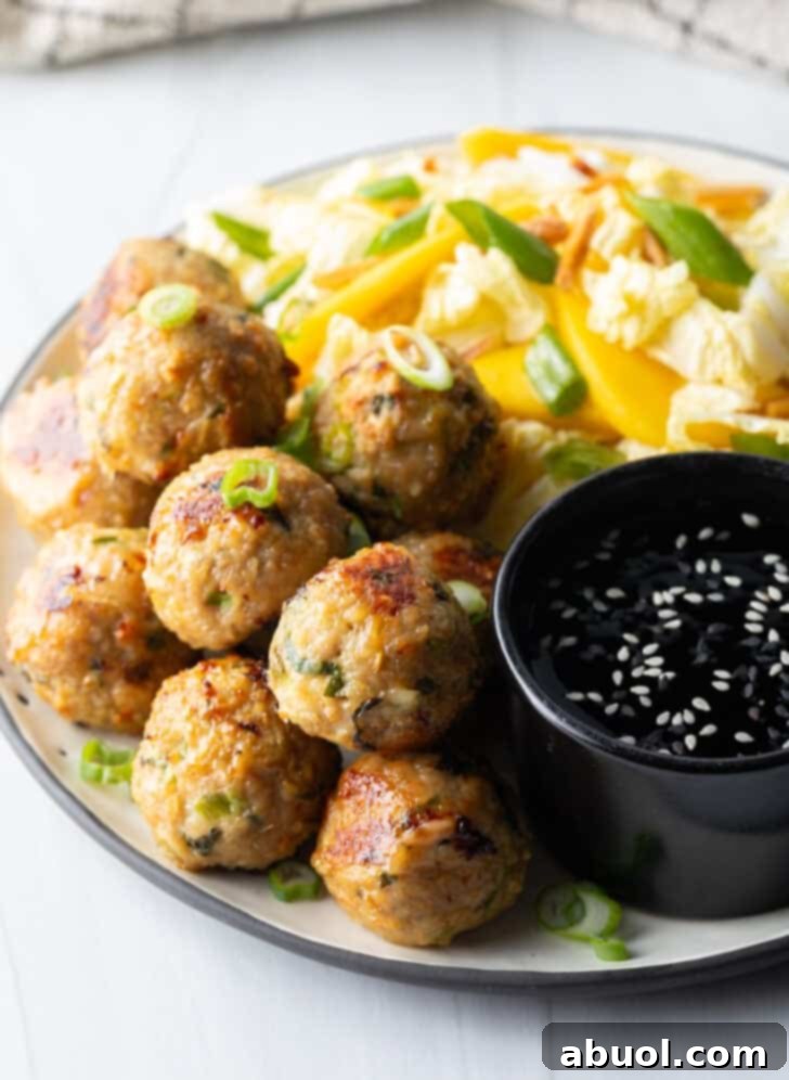 A vibrant plate arranged with tender Thai turkey meatballs on one side and a refreshing chopped Asian salad on the other, accompanied by a small black ramekin of savory dipping sauce.