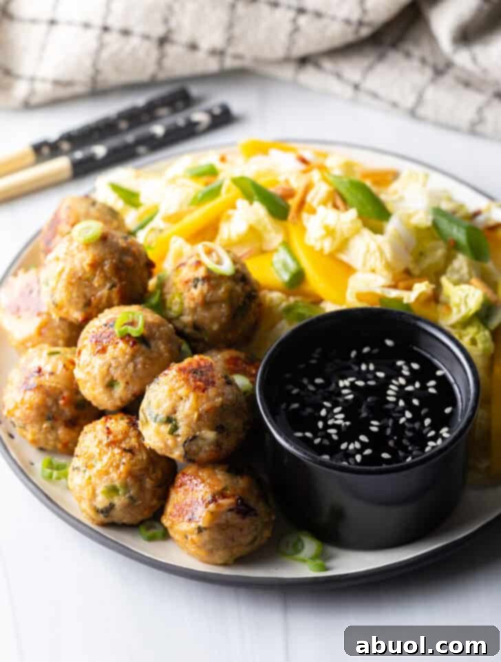 A beautifully presented plate, half filled with delicious Thai turkey meatballs and half with a fresh chopped Asian salad, alongside a black ramekin of savory dipping sauce.