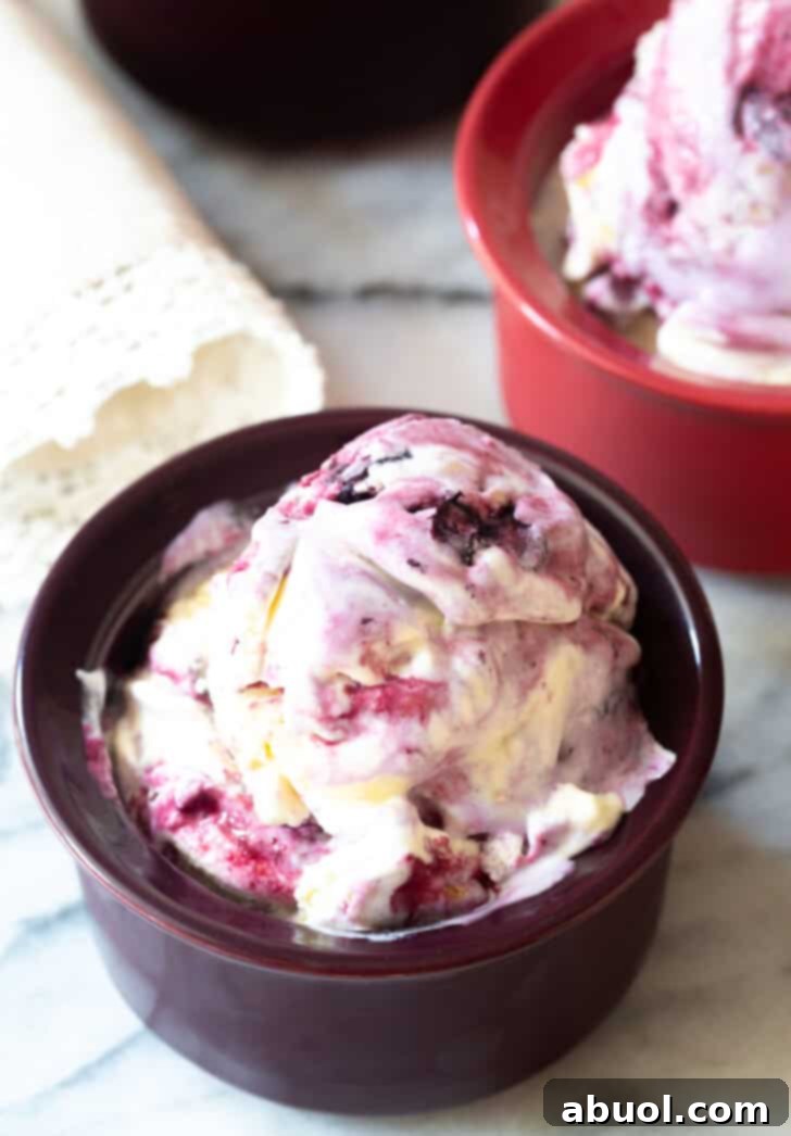 Dark bowl with blueberry pie ice cream, showcasing its rich texture and fruit swirls.