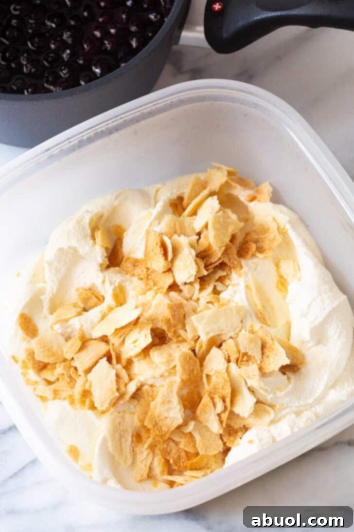 Broken pie crust pieces in a container alongside a batch of creamy vanilla ice cream.