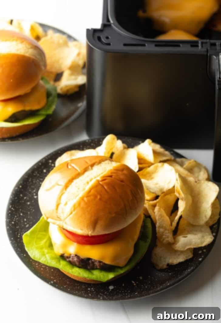 Air Fryer Burger Perfection 12 Aair fryer hamburger loaded with cheese, lettuce, tomatoes and pickle slices on a plate with potato chips.