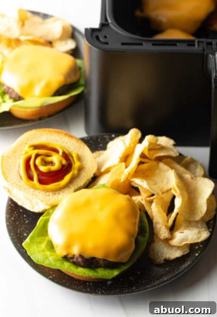 Air Fryer Burger Perfection 9 Top down view open faced cheeseburger on a plate with potato chips.