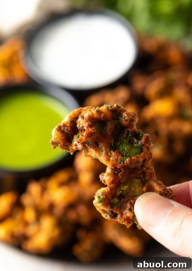 Crispy Kale and Vegetable Pakora 5 Hand holding a crispy piece of kale vegetable pakora to camera.