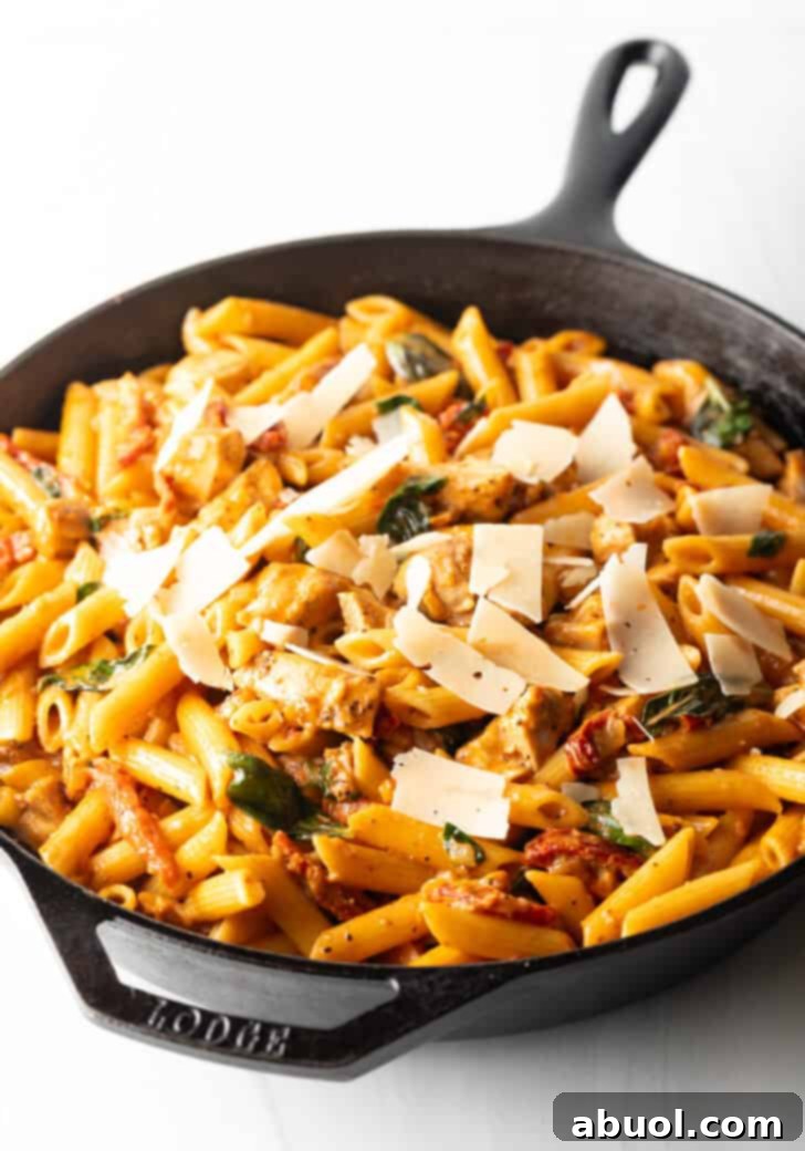 The finished Marry Me Chicken Pasta, beautifully combined in a cast iron skillet, with chicken, pasta, and sun-dried tomato sauce.