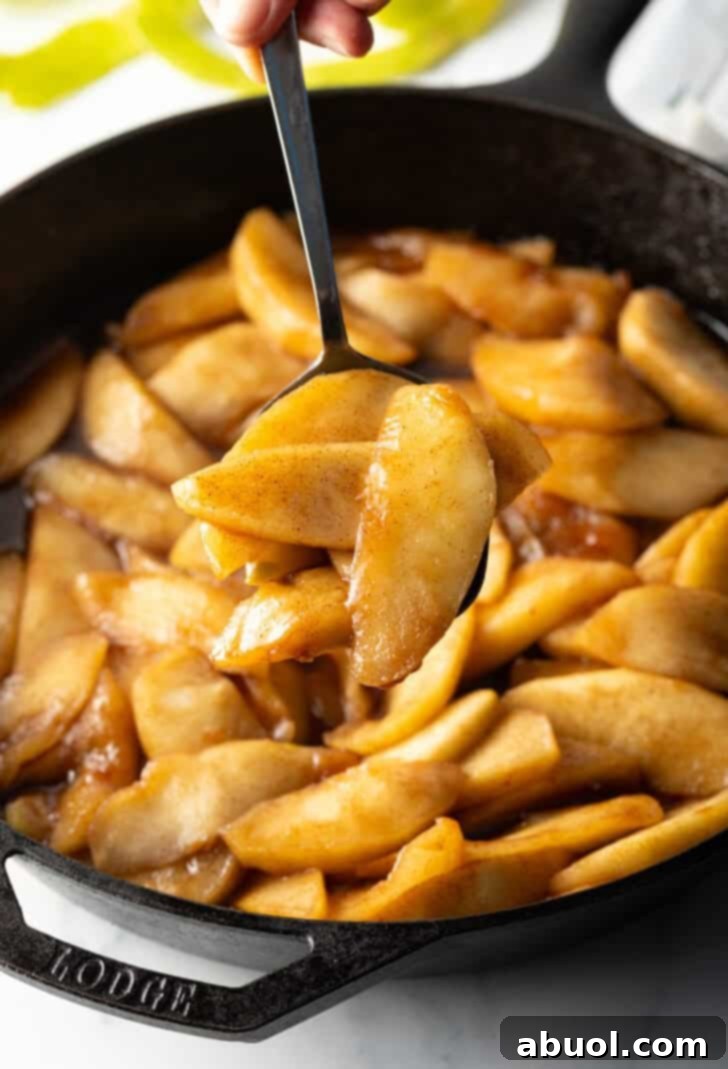 Spoon holding a serving of spiced apple slices to camera.