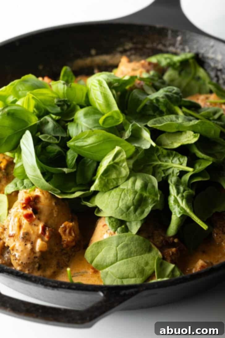 Tuscan Cream Chicken Delights 10 Adding fresh baby spinach leaves on top of the skillet with chicken thighs and cream sauce, ready to wilt.