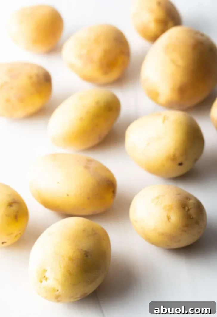 Several small, unpeeled yellow Yukon Gold potatoes are neatly arranged on a clean white background, showcasing their smooth skin.