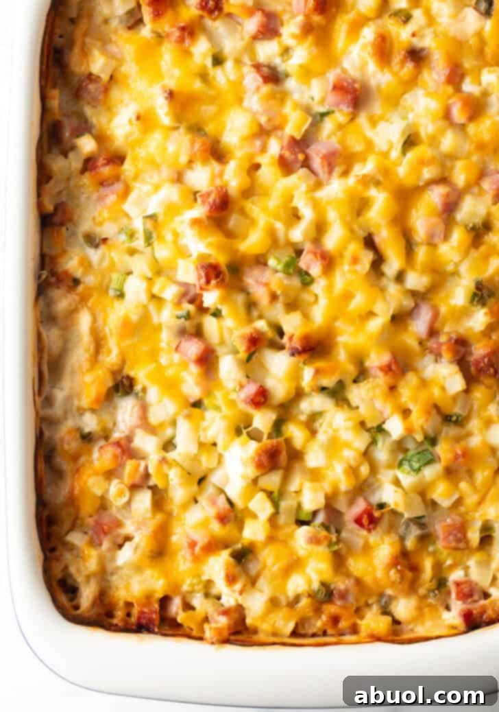 Top-down view of a golden brown cheesy ham and potato casserole in a white baking dish, fresh out of the oven.