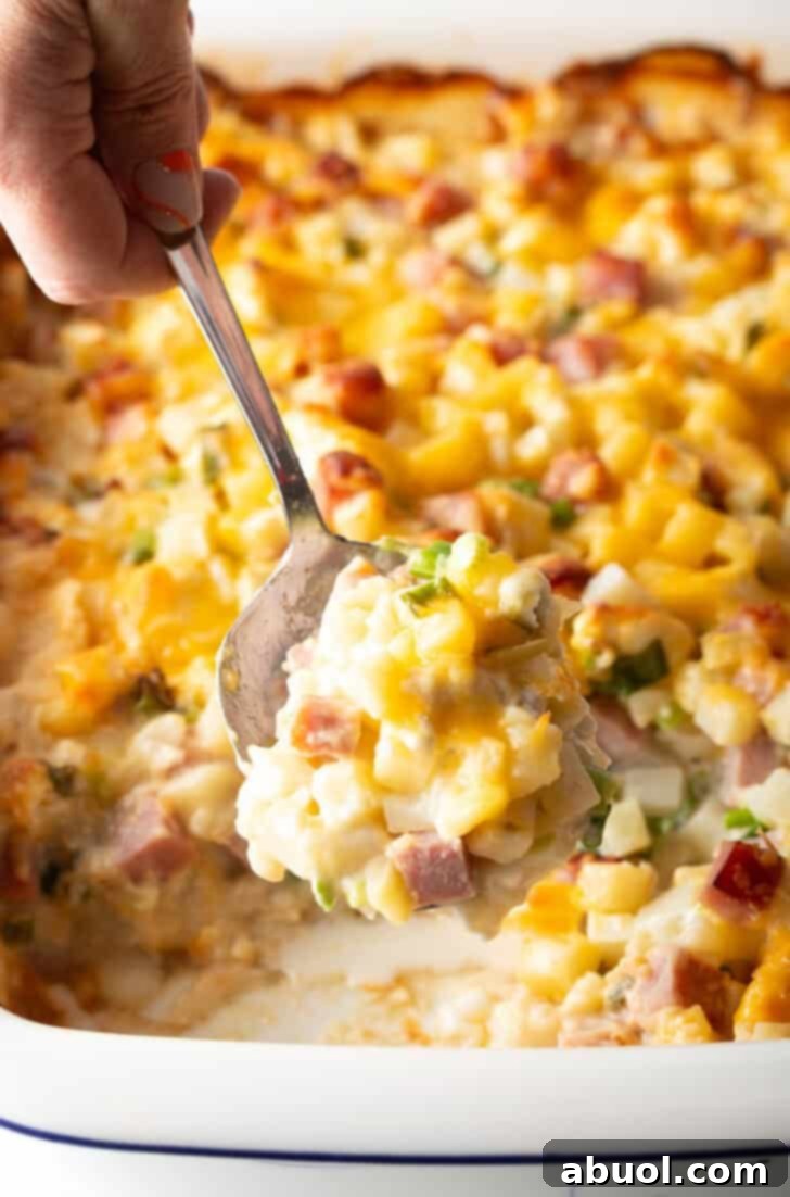 A final close-up image of the golden, bubbly, and cheesy ham and potato casserole in a white baking dish.