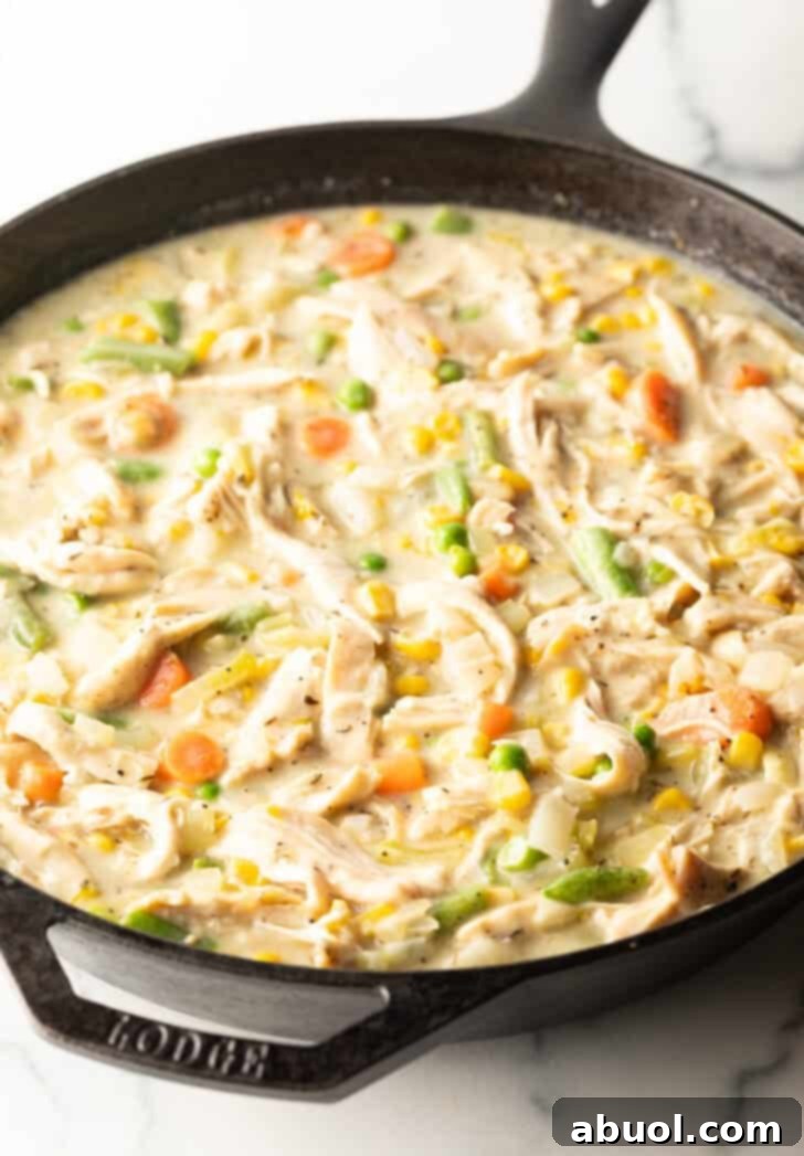 Cast iron skillet with creamy chicken and vegetables.