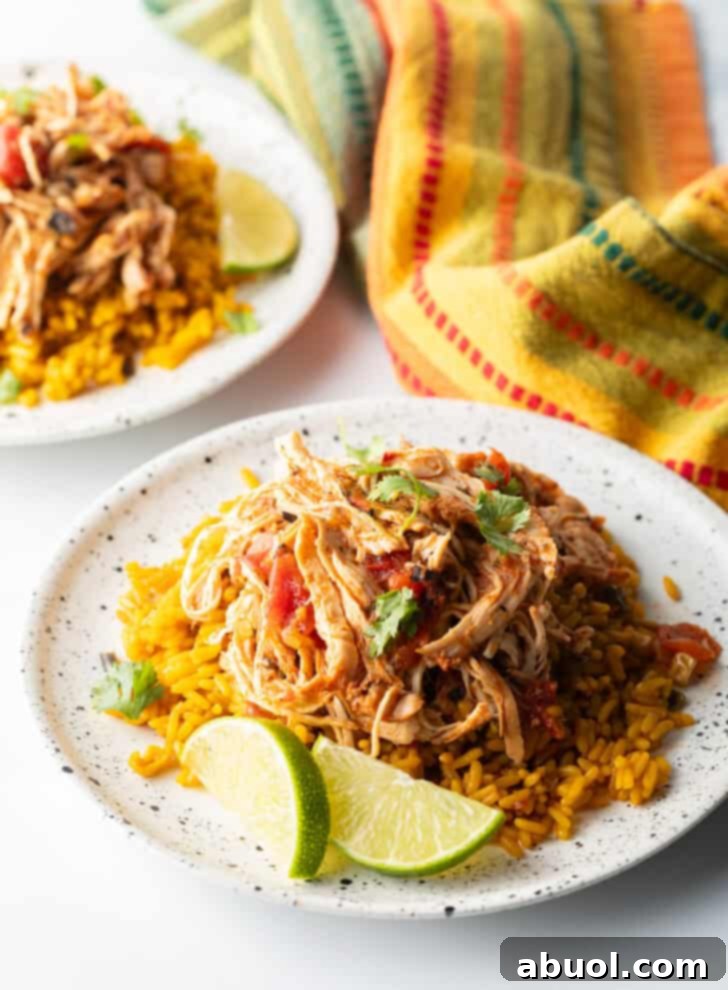 A vibrant mound of zesty shredded Mexican chicken served with Spanish rice and fresh lime wedges, ready to be savored.