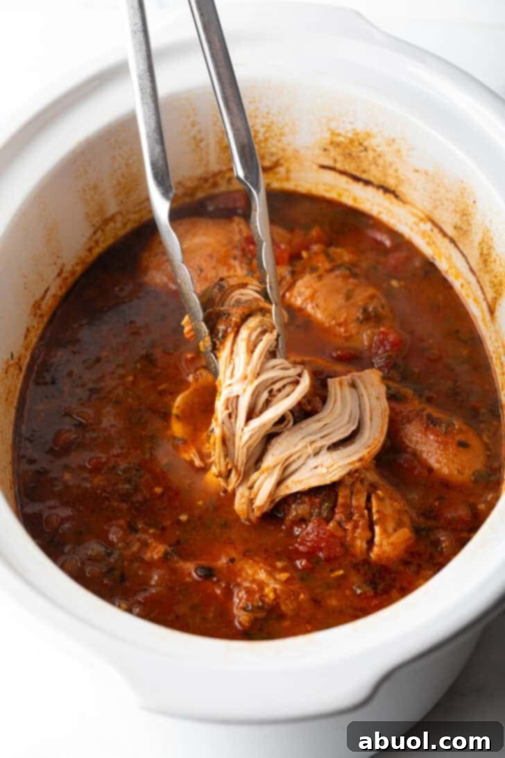 Tongs holding up shredded chicken above a white slow cooker, demonstrating its perfect tenderness.