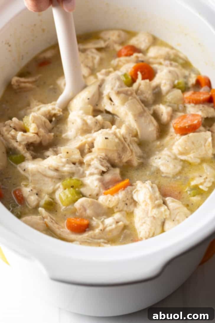 Stirring chicken and dumplings with carrots in a white crock pot.