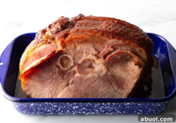 Close-up shot of a cooked spiral ham, showing its perfect spiral cuts and golden-brown glaze, in a blue and white speckled roasting pan.