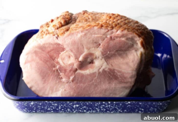 An unglazed spiral ham, lightly golden, in a blue and white speckled roasting pan, ready for its next step in the cooking process.