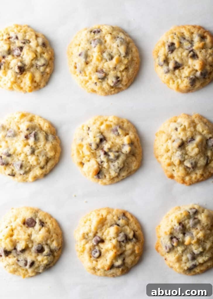 Salty Sweet Crunch Cookies 11 Overhead view of perfectly baked potato chip cookies arranged in neat rows.