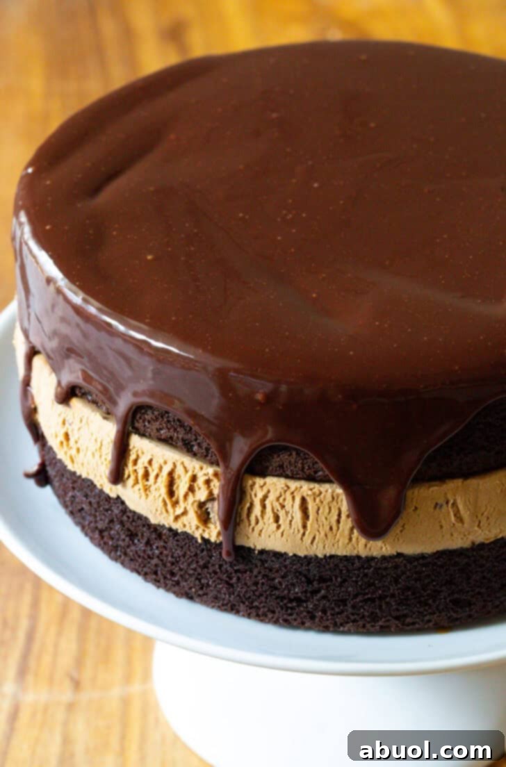 Homemade Ice Cream Cake Bliss 4 Chocolate and caramel ice cream cake covered with dripping chocolate ganache.